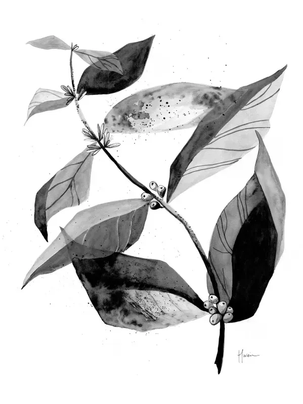 KIT 4 QUADROS DECORATIVOS - DA NOSSA FLORA